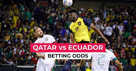 qatar ecuador odds